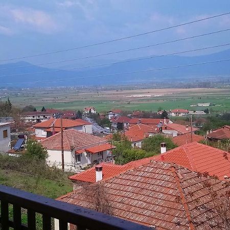 Alpina Suites Kastoria Luaran gambar